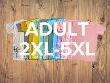 Load image into Gallery viewer, PLUS SIZE 100% polyester colored short sleeve tee