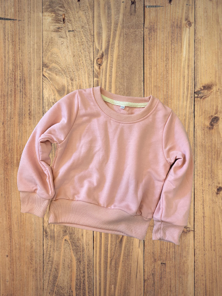 TODDLER 100% polyester colored SWEATSHIRT